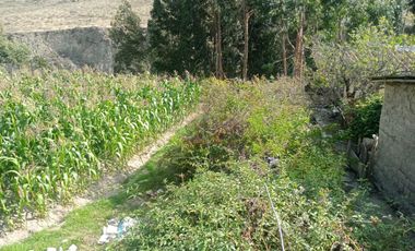 Terreno en Ollantaytambo 3330 m2 cusco Perú