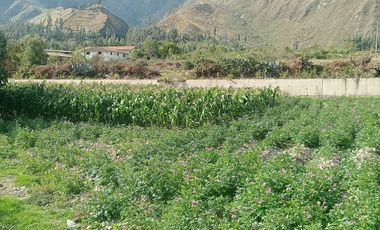 Terreno en Ollantaytambo 3330 m2 cusco Perú