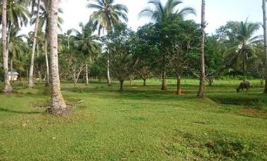 121,375 sqm Lot For Sale at Siargao