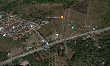 Lot for Sale along the road Taguanao