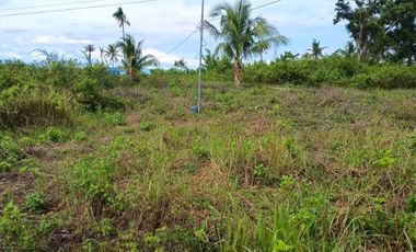 Lot only in Moalboal For Sale walking distance to the beach