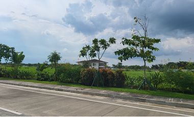Upscale Residential Lot Property For Sale in Nuvali - Tagaytay Rd Santa Rosa City Laguna