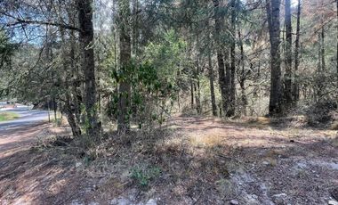 ¡Tu Refugio Natural te Espera! Terreno Boscoso cerca del Fraccionamiento San Cayetano