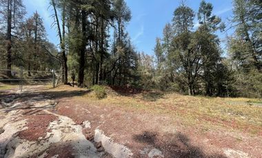 ¡Tu Refugio Natural te Espera! Terreno Boscoso cerca del Fraccionamiento San Cayetano