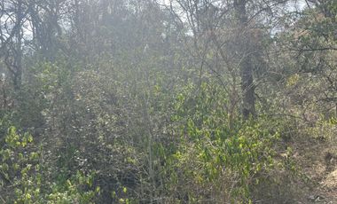 ¡Tu Refugio Natural te Espera! Terreno Boscoso cerca del Fraccionamiento San Cayetano