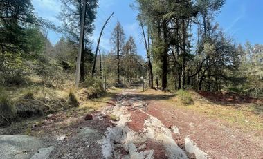 ¡Tu Refugio Natural te Espera! Terreno Boscoso cerca del Fraccionamiento San Cayetano