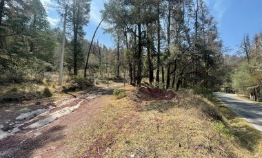 ¡Tu Refugio Natural te Espera! Terreno Boscoso cerca del Fraccionamiento San Cayetano