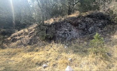 ¡Tu Refugio Natural te Espera! Terreno Boscoso cerca del Fraccionamiento San Cayetano