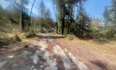 ¡Tu Refugio Natural te Espera! Terreno Boscoso cerca del Fraccionamiento San Cayetano