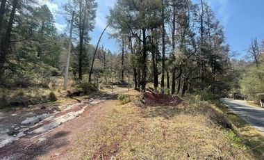 ¡Tu Refugio Natural te Espera! Terreno Boscoso cerca del Fraccionamiento San Cayetano