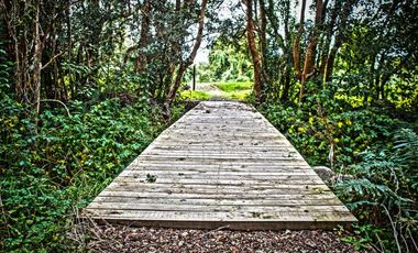 Parcelas Puerto Varas con Crédito Directo