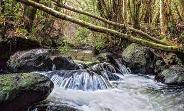 Parcelas Puerto Varas con Crédito Directo