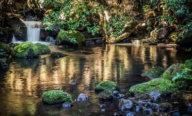 Parcelas Puerto Varas con Crédito Directo