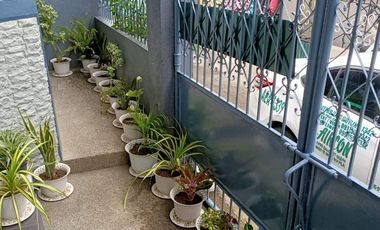 2 BEDROOM HOUSE AND LOT IN VALENZUELA