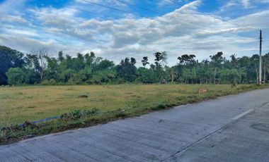 1,006 SQ.M Lot for Sale located in Biking, Dauis, Panglao Island, Bohol