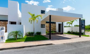 Manere 33, Modelo Alzare