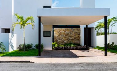 Manere 33, Modelo Alzare