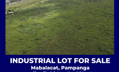 1 Hectare Industrial Lot for Sale Mabalacat Pampanga Near Clark Airport