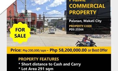 Prime Commercial Property for SALE in Palanan, Makati City