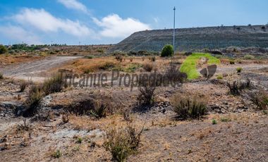 Venta de terreno Andacollo, 24.000 m2, sector Chepiquilla. $60 millones