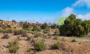 Venta de terreno Andacollo, 24.000 m2, sector Chepiquilla. $60 millones