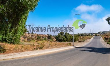 Venta de terreno Andacollo, 24.000 m2, sector Chepiquilla. $60 millones
