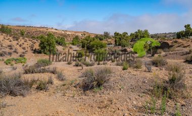 Venta de terreno Andacollo, 24.000 m2, sector Chepiquilla. $60 millones