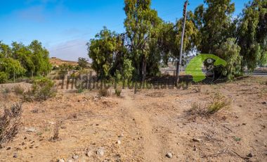 Venta de terreno Andacollo, 24.000 m2, sector Chepiquilla. $60 millones