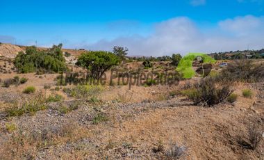 Venta de terreno Andacollo, 24.000 m2, sector Chepiquilla. $60 millones