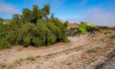 Venta de terreno Andacollo, 24.000 m2, sector Chepiquilla. $60 millones