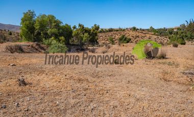 Venta de terreno Andacollo, 24.000 m2, sector Chepiquilla. $60 millones