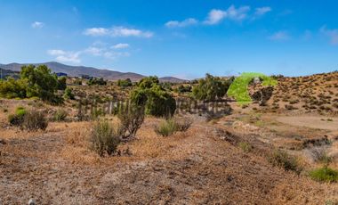 Venta de terreno Andacollo, 24.000 m2, sector Chepiquilla. $60 millones