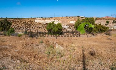 Venta de terreno Andacollo, 24.000 m2, sector Chepiquilla. $60 millones