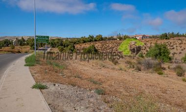 Venta de terreno Andacollo, 24.000 m2, sector Chepiquilla. $60 millones