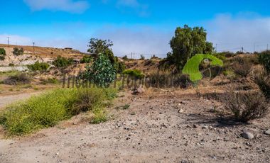 Venta de terreno Andacollo, 24.000 m2, sector Chepiquilla. $60 millones