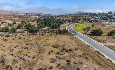 Venta de terreno Andacollo, 24.000 m2, sector Chepiquilla. $60 millones