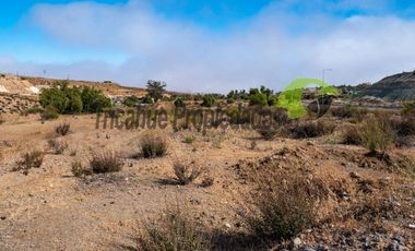 Venta de terreno Andacollo, 24.000 m2, sector Chepiquilla. $60 millones