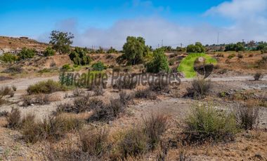 Venta de terreno Andacollo, 24.000 m2, sector Chepiquilla. $60 millones