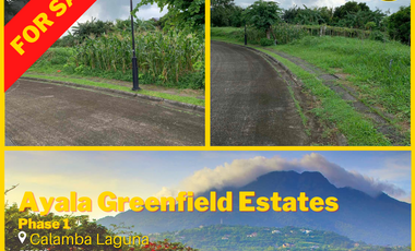 For Sale Overlooking Lot in Ayala Greenfields Estates in Phase 1