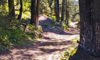TERRENO IDEAL PARA CONSTRUIR UN FRACCIONAMIENTO EN EL BOSQUE $1,000 m2