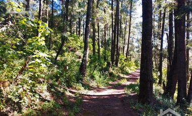 TERRENO IDEAL PARA CONSTRUIR UN FRACCIONAMIENTO EN EL BOSQUE $1,000 m2