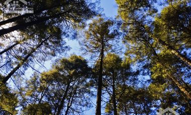 TERRENO IDEAL PARA CONSTRUIR UN FRACCIONAMIENTO EN EL BOSQUE $1,000 m2