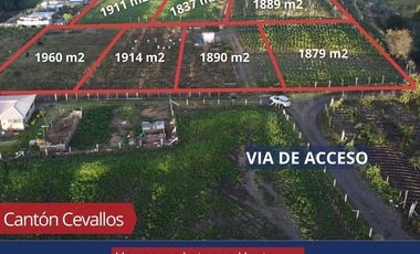 LOTES DE VENTA CANTON CEVALLOS 1900M TUNGURAHUA