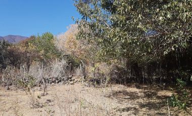 TERRENO EN VENTA CANACINTA, AJIJIC, JALISCO