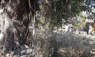 TERRENO EN VENTA CANACINTA, AJIJIC, JALISCO
