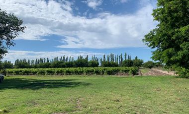 Casa con finca en Alvear Mendoza acepta permuta