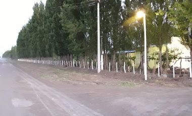Casa con finca en Alvear Mendoza acepta permuta
