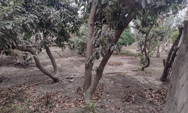 VENTA DE TERRENO EN CHOSICA ALT. PLAZA DE ARMAS 900M2 $550,000