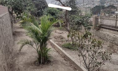 VENTA DE TERRENO EN CHOSICA ALT. PLAZA DE ARMAS 900M2 $550,000