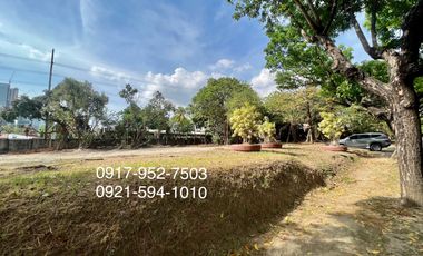 Forbes Park North vacant lot 380K/sqm for bidding